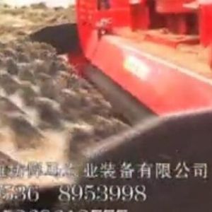 银河999小玛丽水果游戏驱动耙广告片